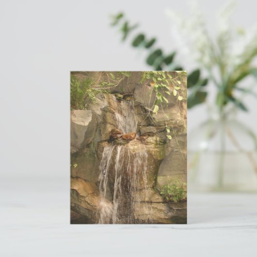 Carte postale cascade ! (Debout devant)