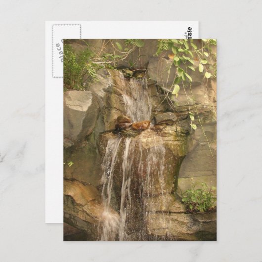 Carte postale cascade ! (Devant / Derrière)