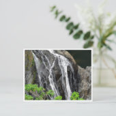 Carte Postale cascade (Debout devant)