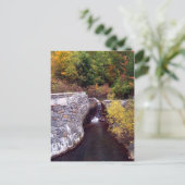 Carte Postale Cascade (Debout devant)