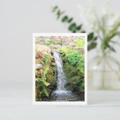 Carte Postale Cascade 6 Venezuela Jungle Paysage Art (Debout devant)