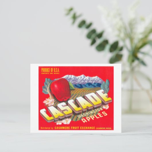 Carte Postale Cascade Apple Étiquette (rouge) - Cashmere, WA (Debout devant)