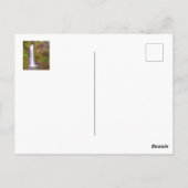 Carte Postale Cascade au Costa Rica (Dos)