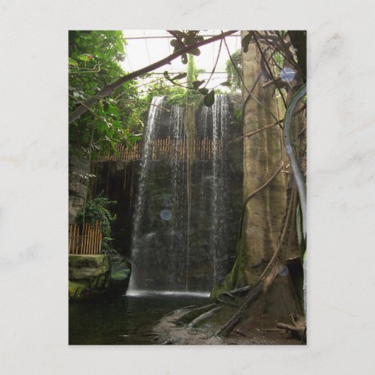 Carte Postale Cascade au zoo (Devant)