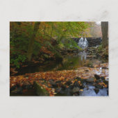 Carte Postale Cascade automnale et Creek Pennsylvania Nature (Devant)
