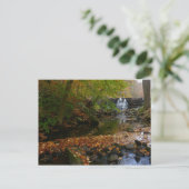 Carte Postale Cascade automnale et Creek Pennsylvania Nature (Debout devant)