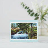 Carte Postale Cascade, bois, Canyon de poisson rouge, Black Hill (Debout devant)