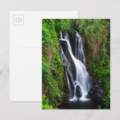 Carte Postale Cascade, côte de Hamakua, Hawaï (Devant / Derrière)