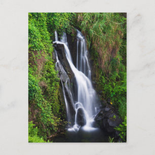 Carte Postale Cascade, côte de Hamakua, Hawaï