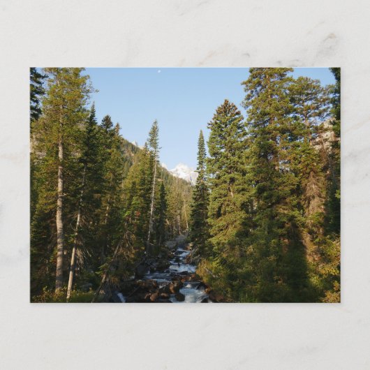 Carte Postale Cascade Creek à Grand Teton (Devant)