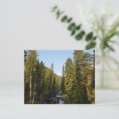 Carte Postale Cascade Creek à Grand Teton (Debout devant)