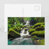 Carte Postale Cascade dans la Jungle | Phu Tub Berk Mountain (Devant / Derrière)