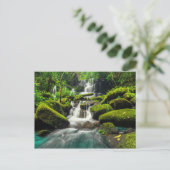 Carte Postale Cascade dans la Jungle | Phu Tub Berk Mountain (Debout devant)