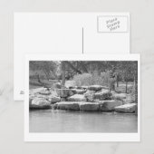 Carte Postale Cascade dans le parc (Devant / Derrière)