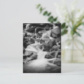 Carte Postale Cascade dans les Great Smoky Mountains (Debout devant)