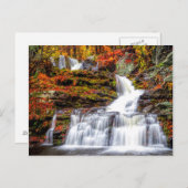 Carte Postale Cascade d'automne (Devant / Derrière)