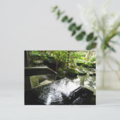Carte Postale Cascade de Bambou au Japon (Debout devant)