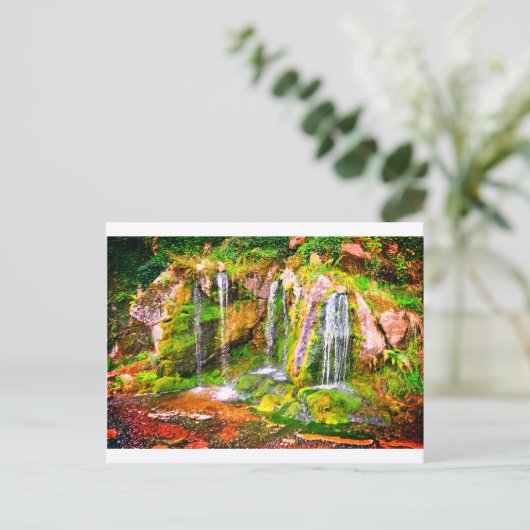 Carte Postale Cascade de Blarney Castle (Debout devant)