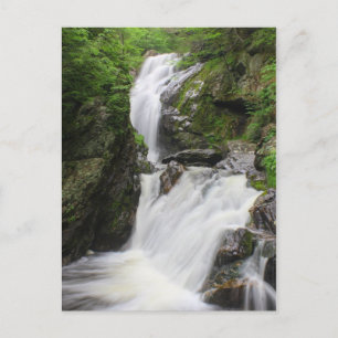 Carte Postale Cascade de Campbell Falls Berkshires