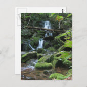 Carte Postale Cascade de cascade dans le paysage forestier luxur (Devant / Derrière)