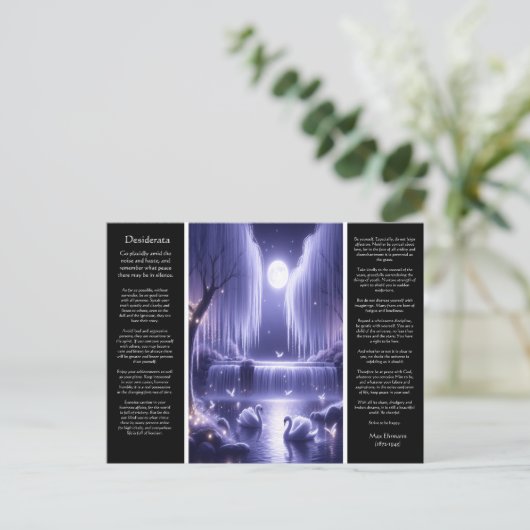 Carte Postale Cascade de Desiderata : Chutes radieuses (Debout devant)