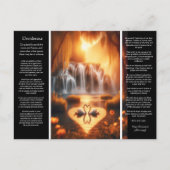 Carte Postale Cascade de Desiderata : Luminosité de cygne tranqu (Devant)