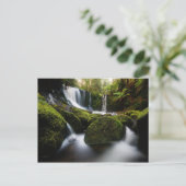 Carte Postale Cascade de Horseshoe Falls (Debout devant)