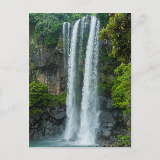 Carte Postale Cascade de Jeongbang, Corée du Sud (Devant)
