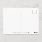 Carte Postale Cascade de la forêt tropicale (Dos)