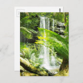 Carte Postale Cascade de la forêt tropicale (Devant / Derrière)