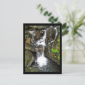 Carte Postale Cascade de la forêt tropicale nationale El Yunque (Debout devant)