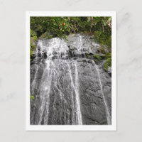 Cascade de la forêt tropicale nationale El Yunque