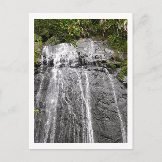 Carte Postale Cascade de la forêt tropicale nationale El Yunque (Devant)