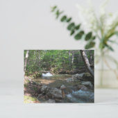 Carte Postale Cascade de la rivière Pemigewasset I (Debout devant)