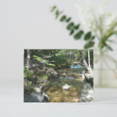 Carte Postale Cascade de la rivière Pemigewasset III (Debout devant)