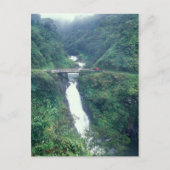 Carte Postale Cascade de la route de Hana (Devant)