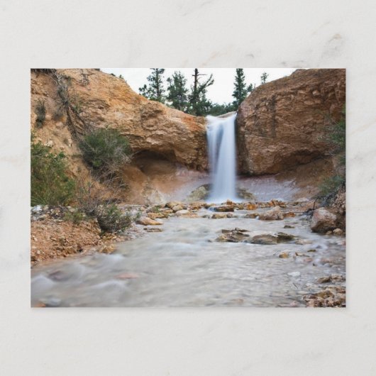 Carte Postale Cascade de Mossy Cave (Devant)