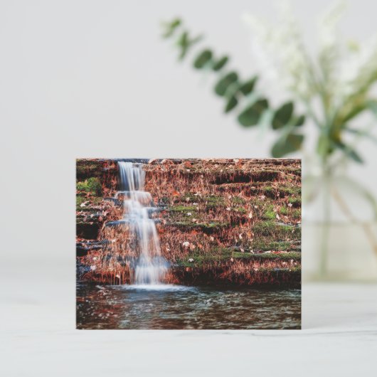 Carte Postale Cascade de Pocono (Debout devant)