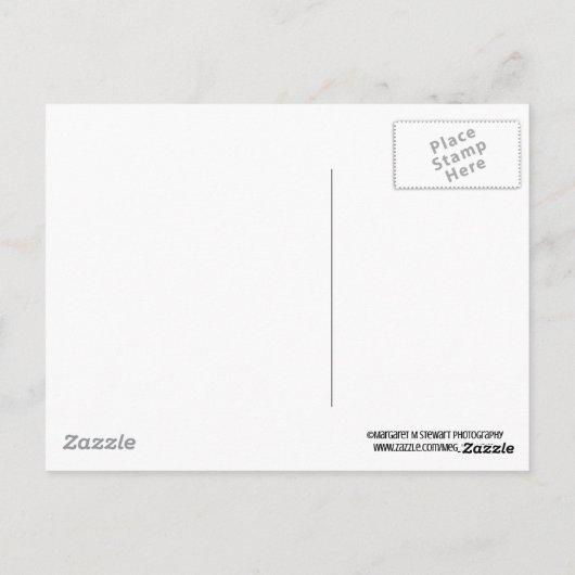 Carte Postale Cascade de Pocono (Dos)