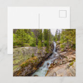 Carte Postale Cascade de rivière et chute d'eau (Devant / Derrière)