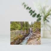 Carte Postale Cascade de rivière et chute d'eau (Debout devant)