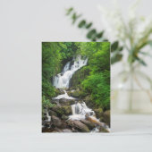 Carte Postale Cascade de Torc paysage, Irlande (Debout devant)