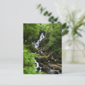 Carte Postale Cascade de Torq - Killarney Irlande (Debout devant)
