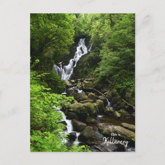 Carte Postale Cascade de Torq - Killarney Irlande (Devant)