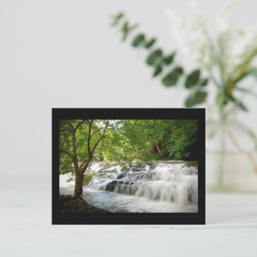 Carte Postale Cascade de Virgina (Debout devant)