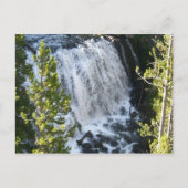 Carte Postale Cascade de Yellowstone (Devant)