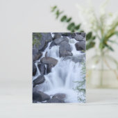 Carte Postale Cascade de Yosemite (Debout devant)