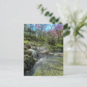 Carte Postale Cascade d'eau chaude (Debout devant)