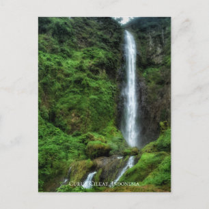 Carte Postale Cascade d'eau naturelle verte luxuriante fraîche