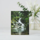 Carte Postale Cascade d'eau verte luxuriante fraîche (Debout devant)